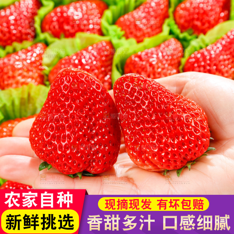 手里捧着草莓