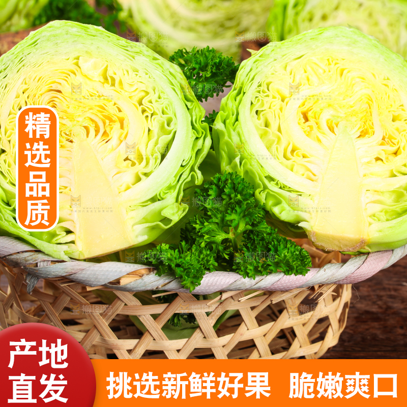 黑底上放着绿甘蓝