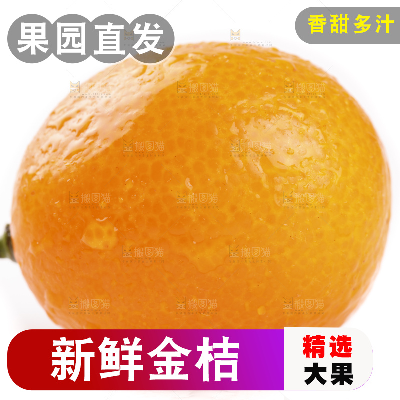 白底上的阳朔脆皮金桔