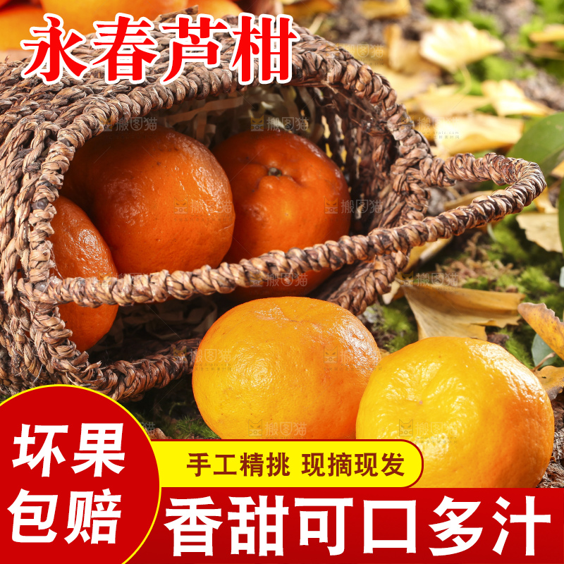 篮子里装着新鲜芦柑