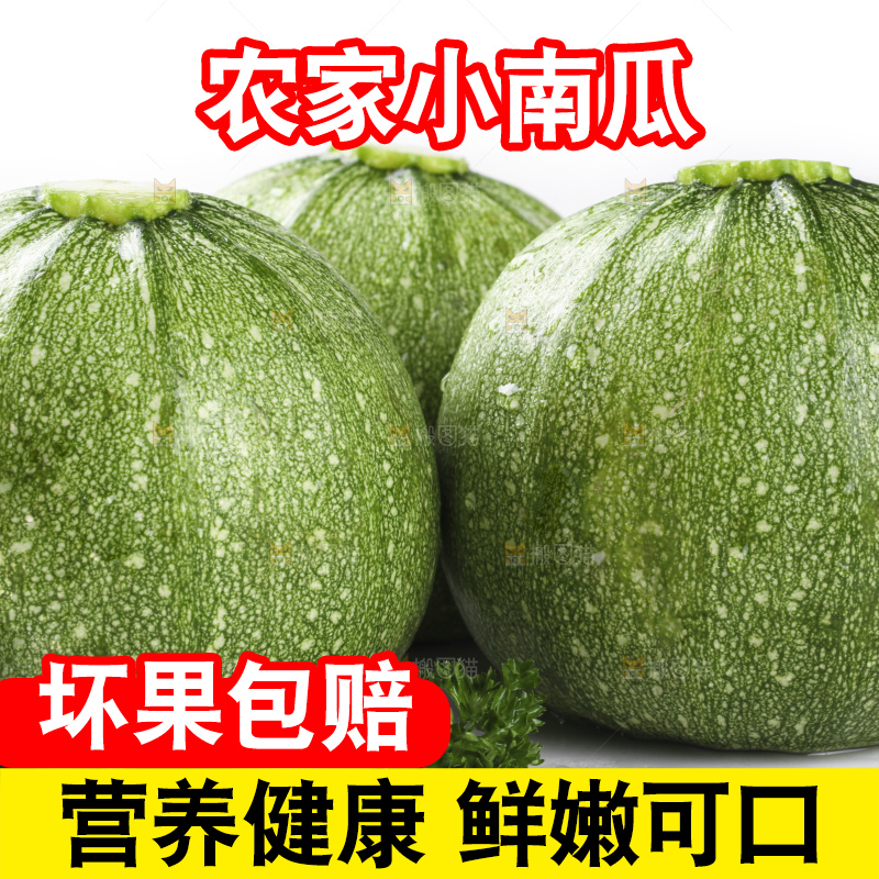 白底上的新鲜南瓜
