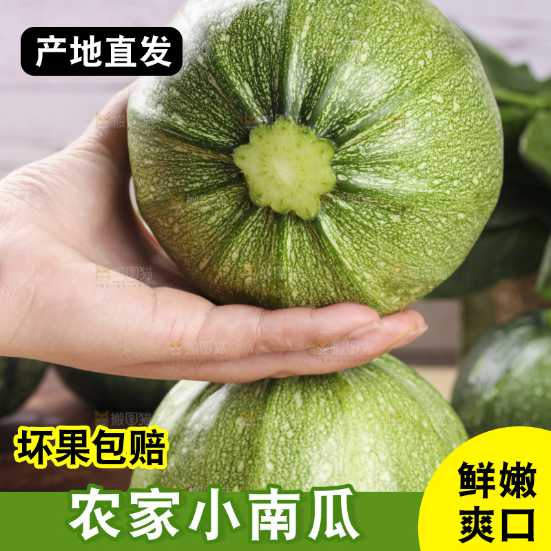手里拿着青皮小南瓜