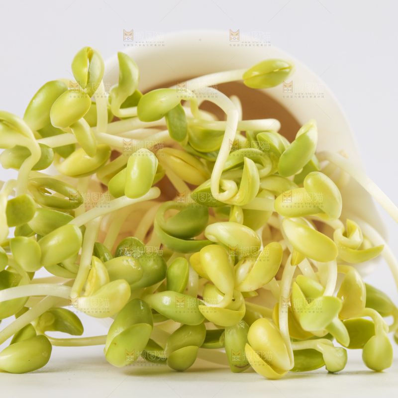 瓶子里放着黄豆芽