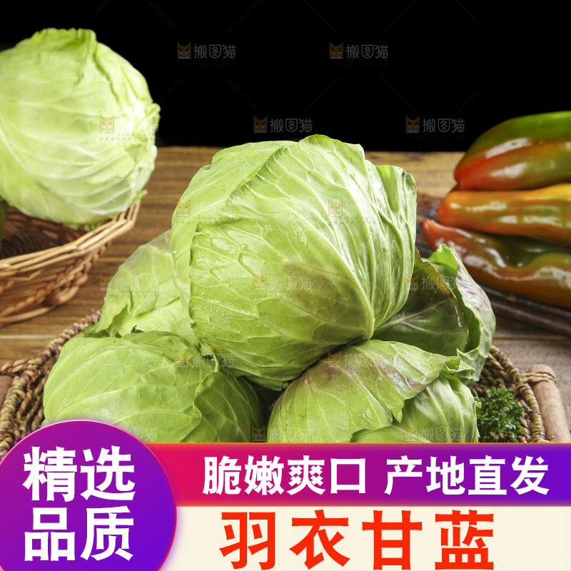 篮子里装着绿甘蓝
