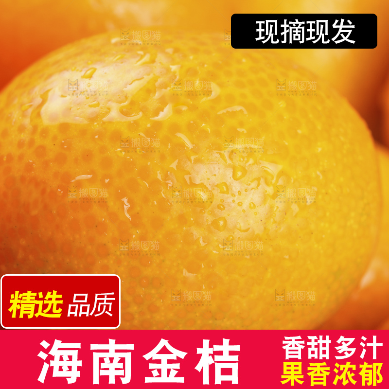 手里拿着脆皮金桔