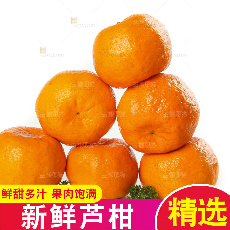 白底上摆放着福建永春芦柑