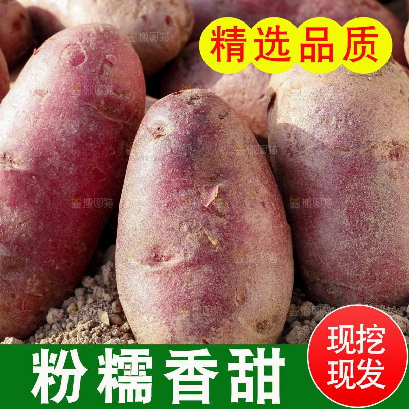 土地上放着红心土豆