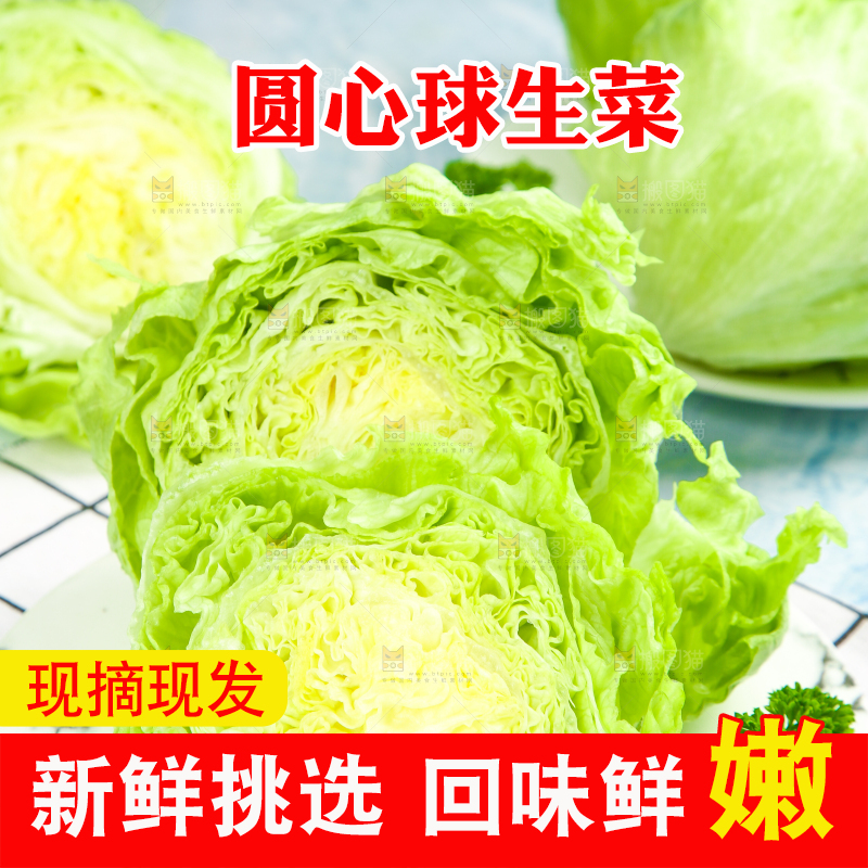 盘子里装着球生菜