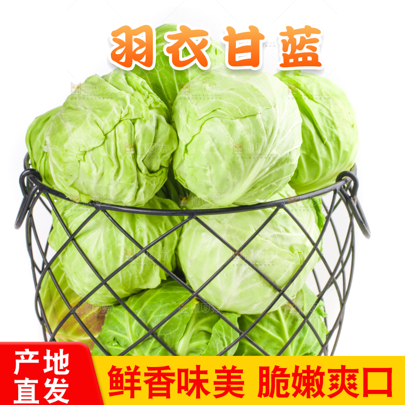 篮子里装绿甘蓝