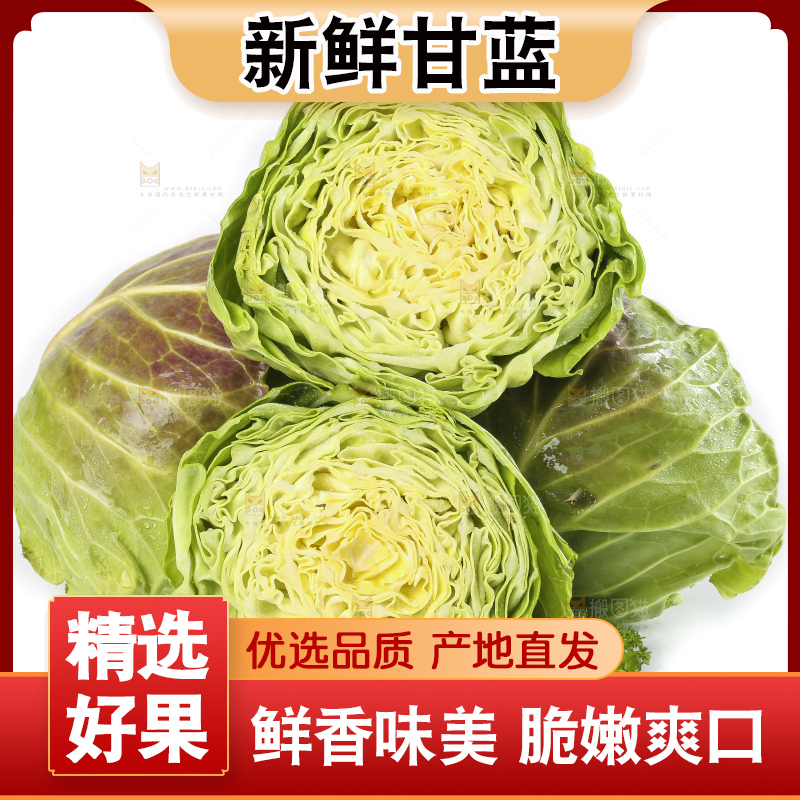 白底上摆放着甘蓝