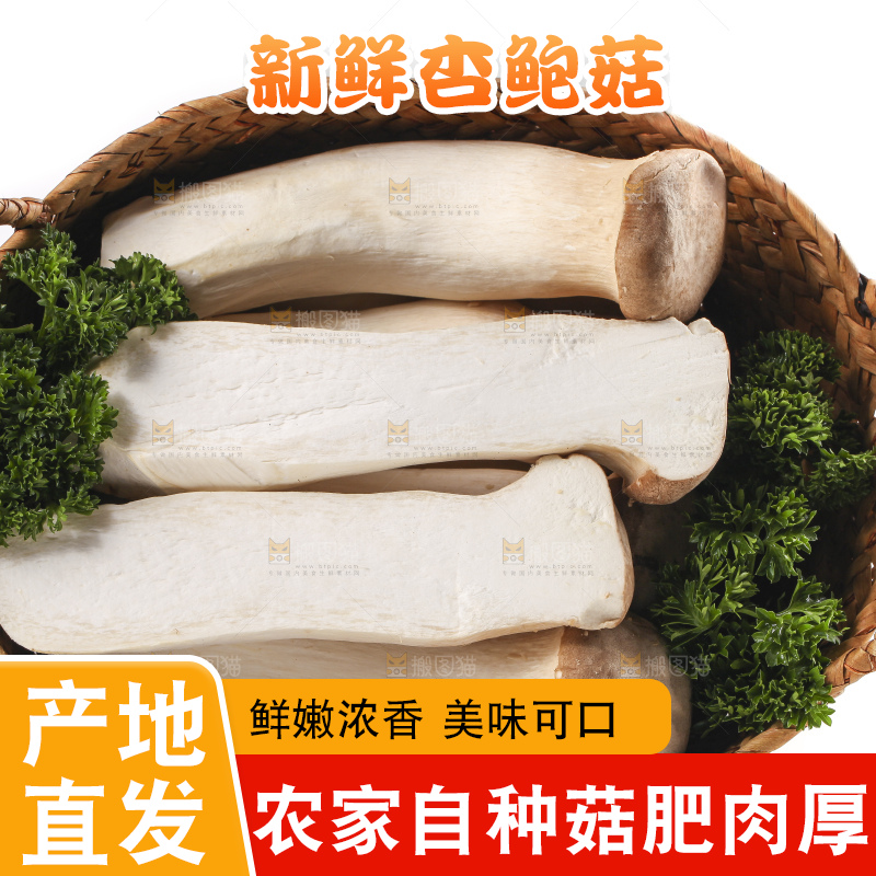 篮子里的菌菇