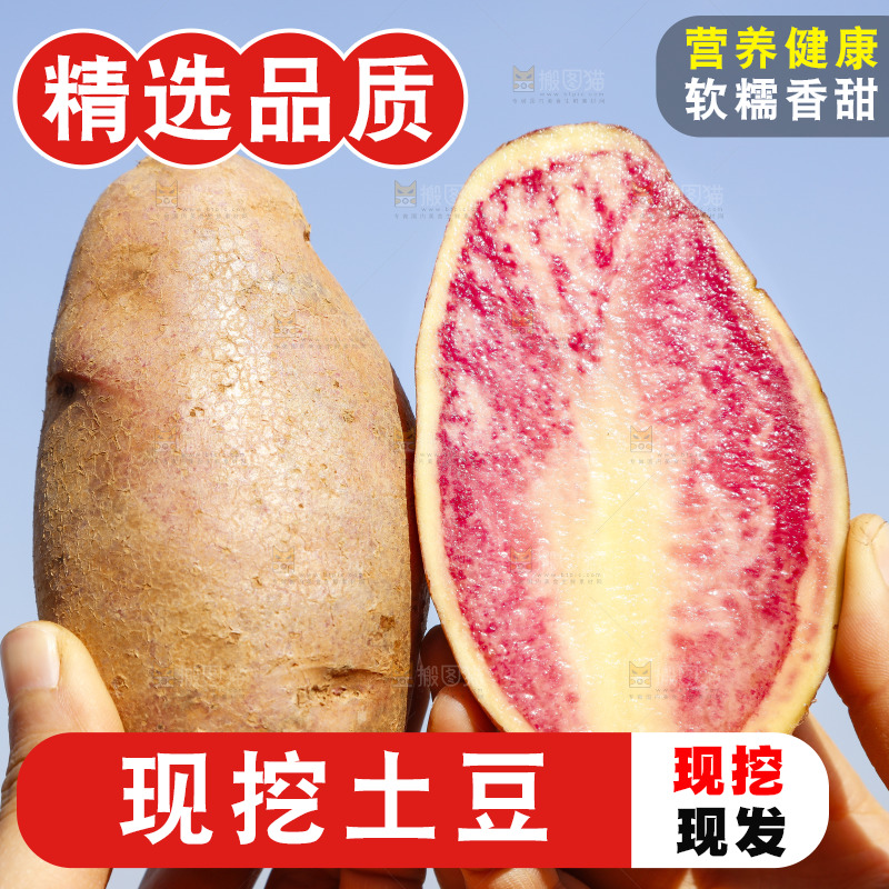 手里拿着丽江七彩土豆