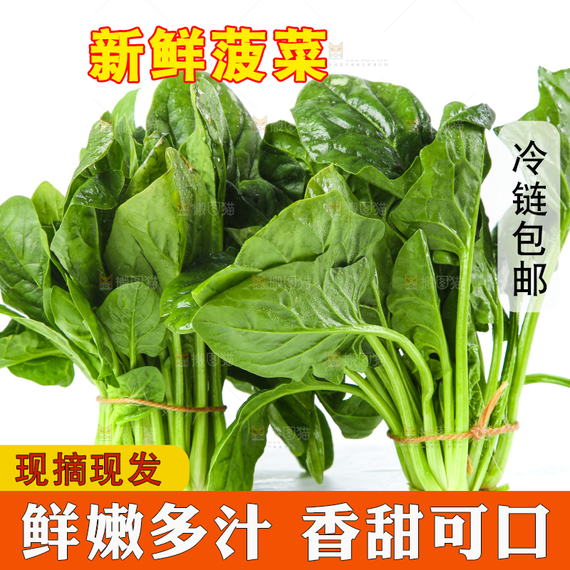 白底上放着菠菜