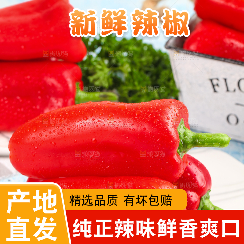 石板上的山东红辣椒