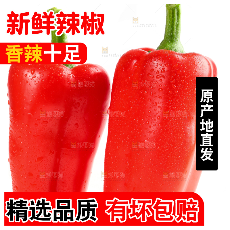 白底上放着红甜椒