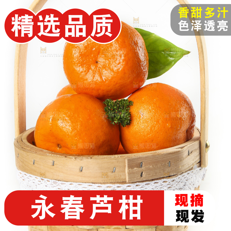 篮子里装着新鲜芦柑