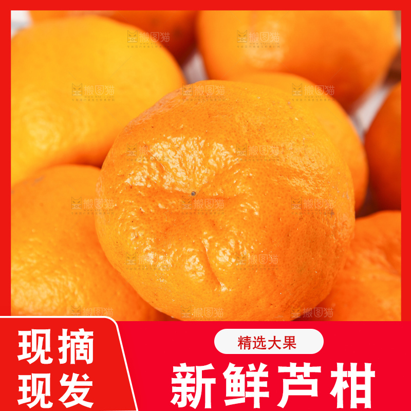 篮子里装着新鲜芦柑