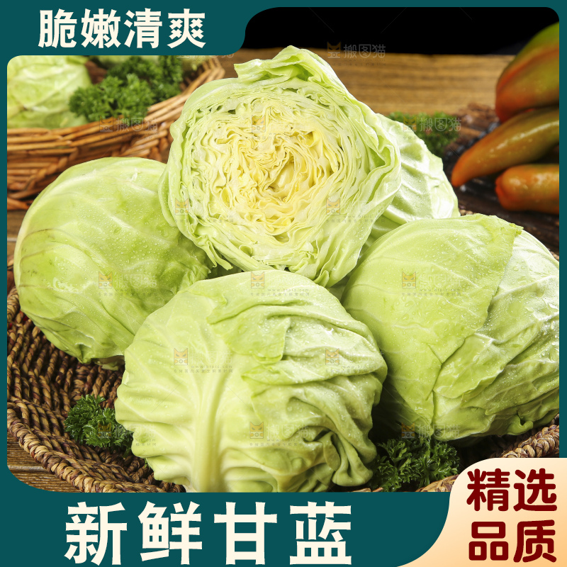 木底上放着一盘孢子甘蓝