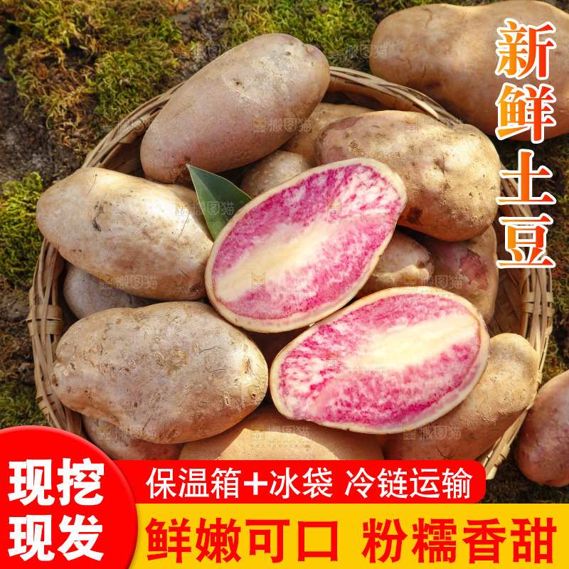 篮子里装着云南红心土豆