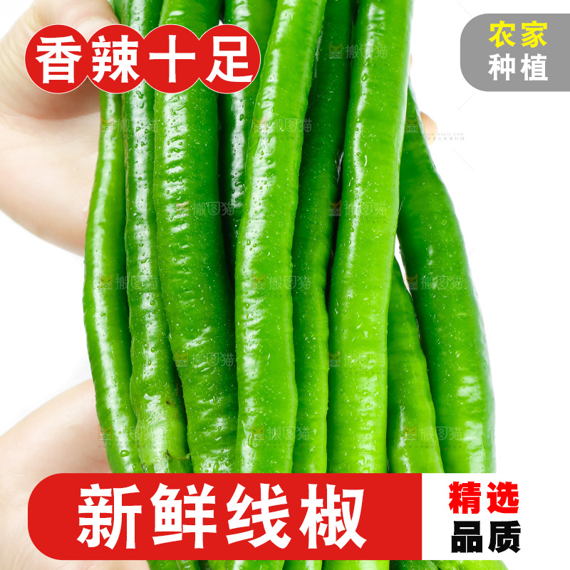 手里拿着二荆条辣椒