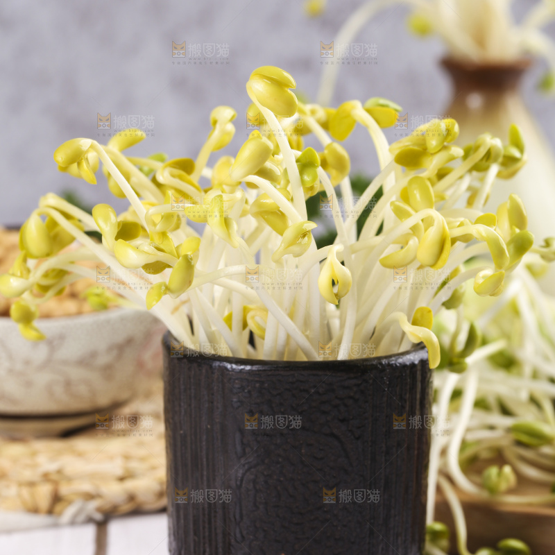 瓶子里放着黄豆芽