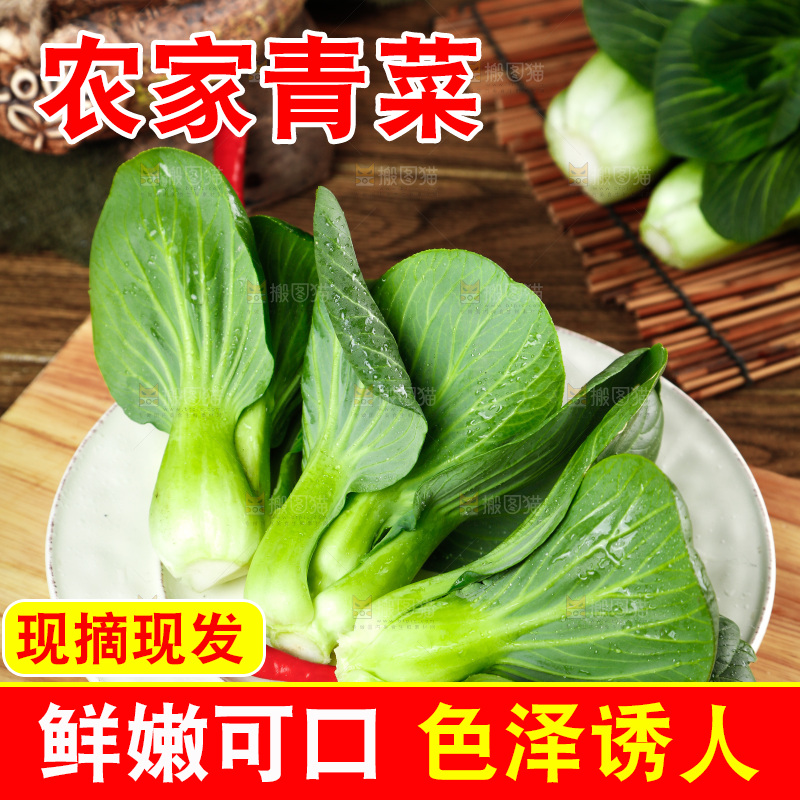 木板上放着上海青