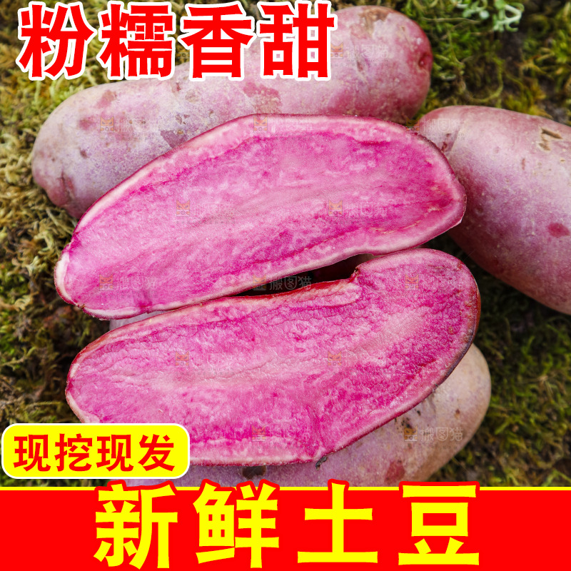 草地上放着红色马铃薯