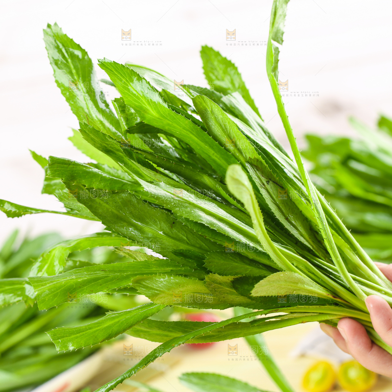 手拿云南大香菜