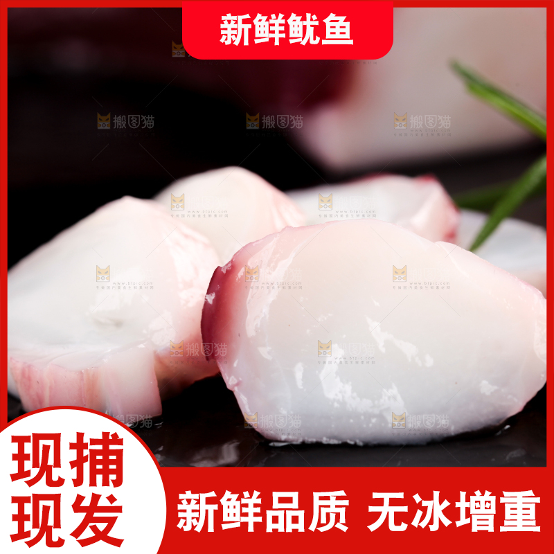 黑石板上的大鱿鱼