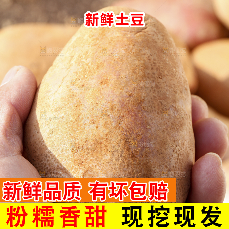 手里拿着七彩土豆