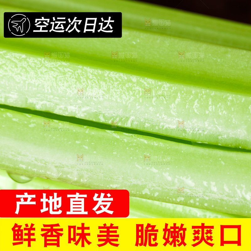 深底上放着洋芹菜