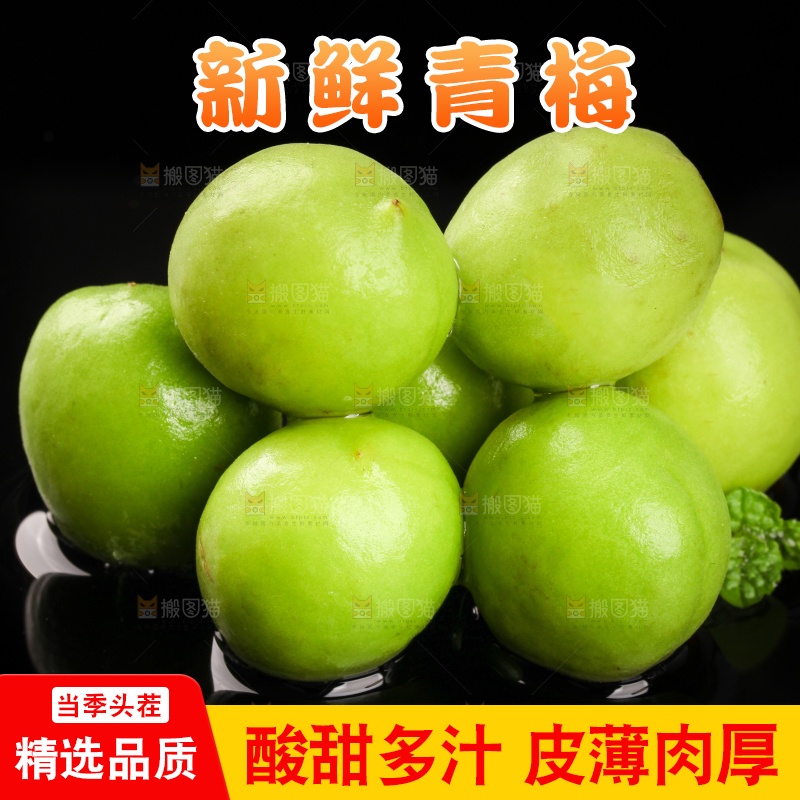 黑底上的青梅