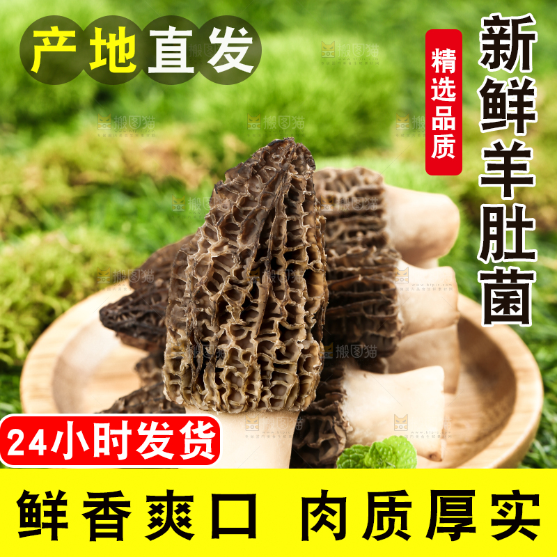 一盘羊肚菌放在草地上