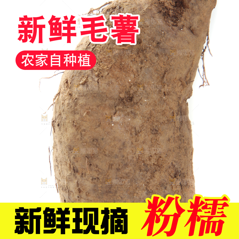 白底上的毛薯