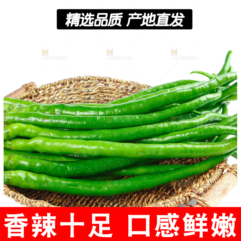 白底上放着二荆条辣椒