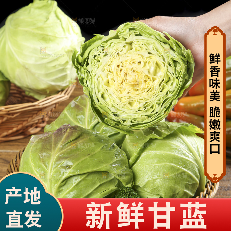 手里拿着洋白菜