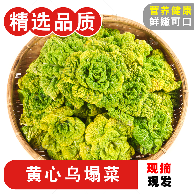 篮子里装着乌塌菜
