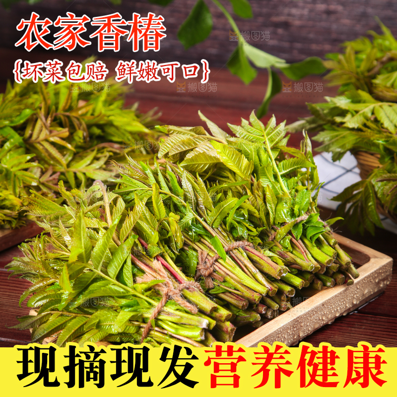 木底上放着一盘香椿芽