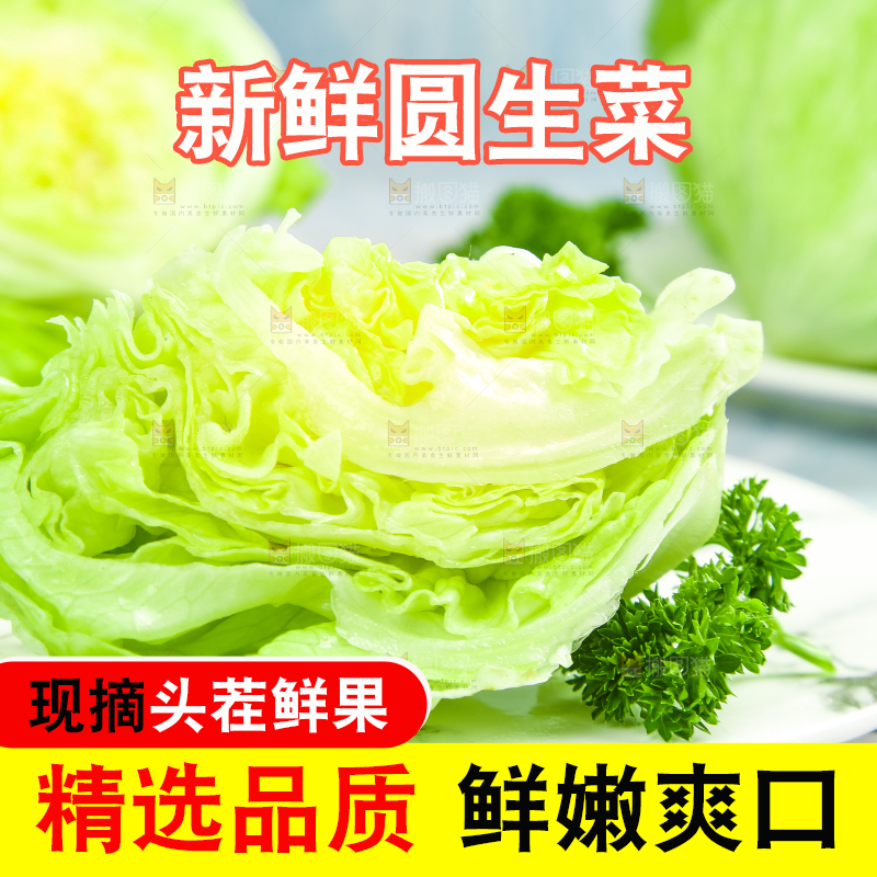 盘子里装着球生菜