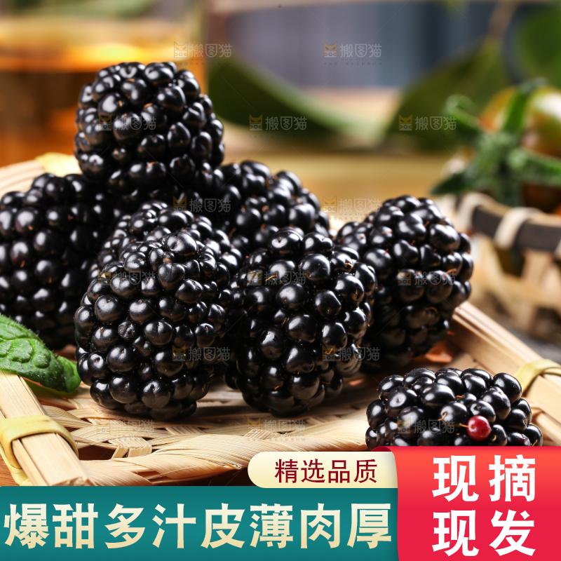 木底上的黑莓