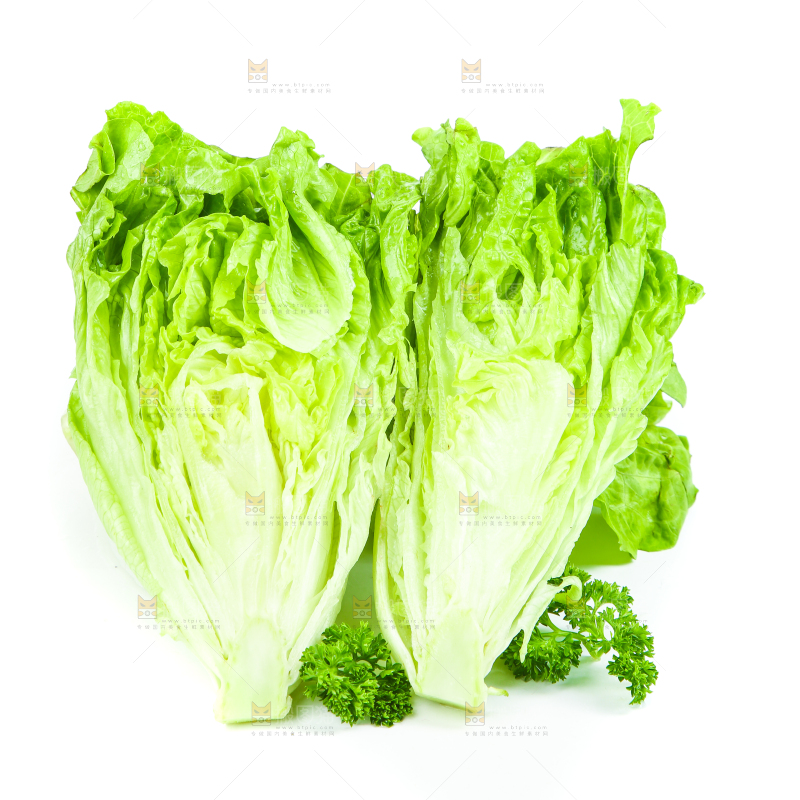 盘子里装着大叶生菜