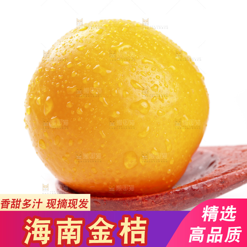 白底上的阳朔脆皮金桔