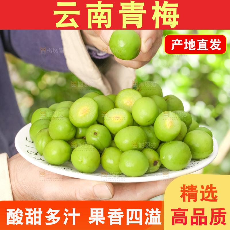 手拿一盘青梅果