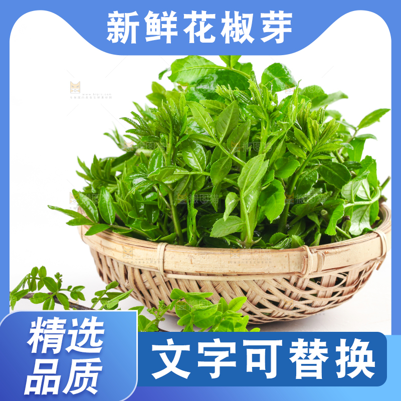 一筐野生花椒芽放在白底上