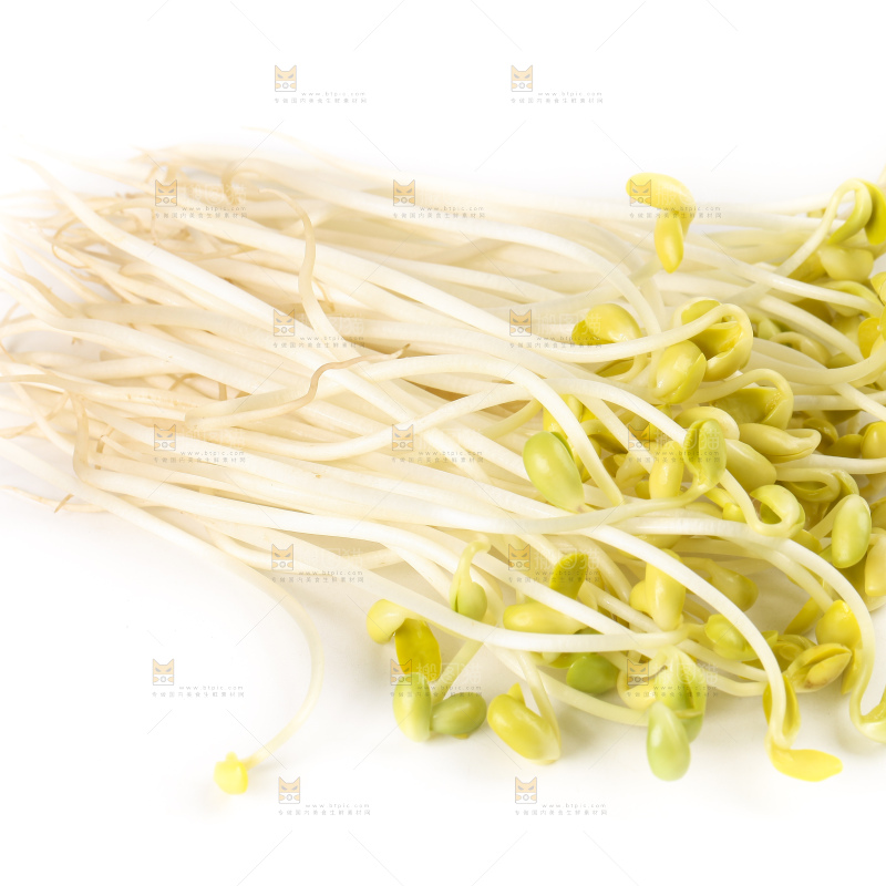 白底上的豆芽