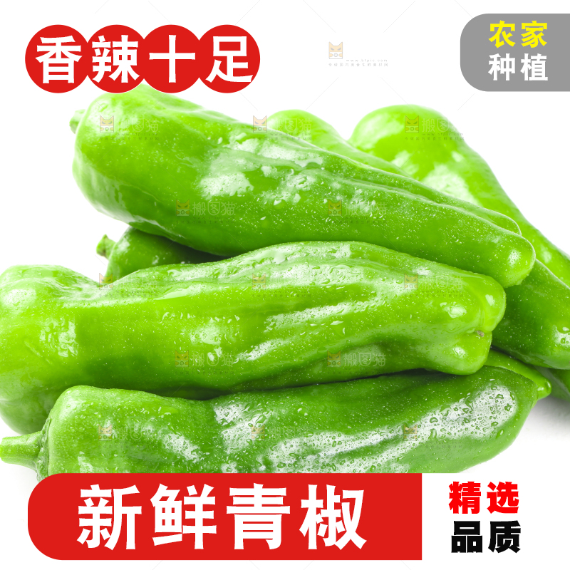 白底上的大青椒
