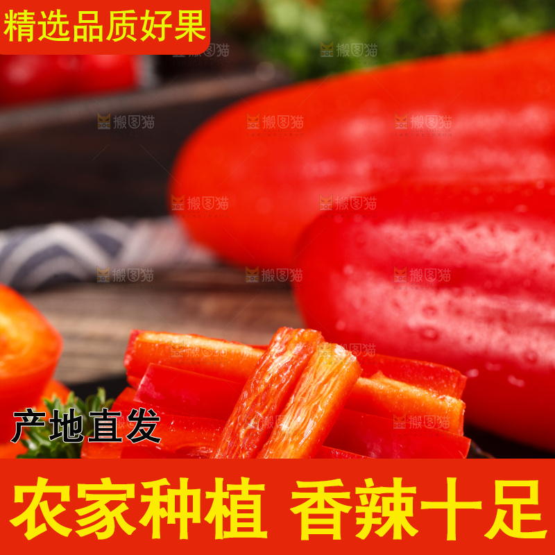 石板上的山东红辣椒