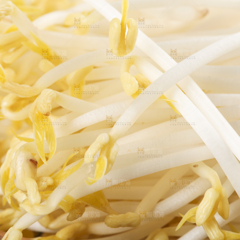 盘子里装着绿豆芽