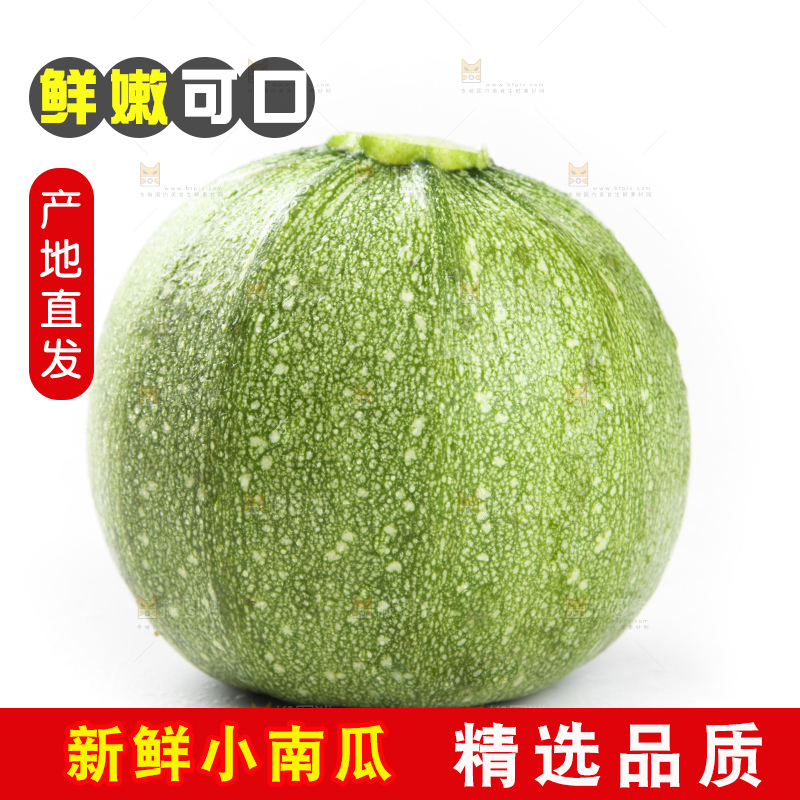 白底上的新鲜南瓜