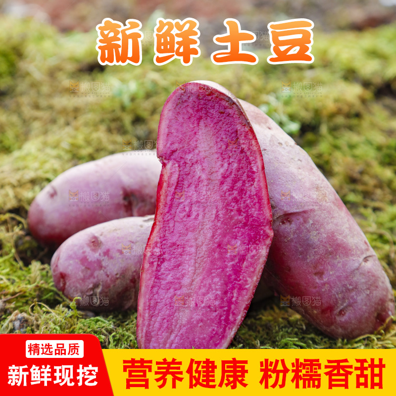 草地上放着红色马铃薯